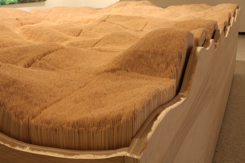 Senior Project in Art&Technology by Sachika Yamaguchi '15