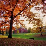 allegheny19