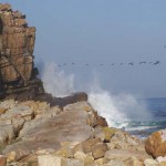 South-Africa-2007-1314