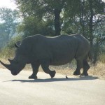 South-Africa-2007-592