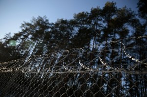 fence