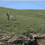 Summer 1999: Ann Widrig and Mary Beth Spinelli Sedimentology of the estuarine member of the Lower Cretaceous Kootenai Formation in the Missouri River Gorge