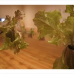 Interactive agricultural installation by Leah Gauthier