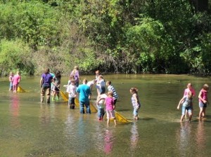 Creek_Connex_2