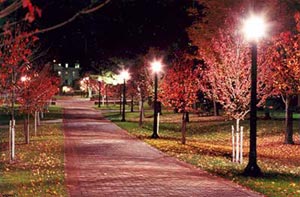 Brooks Walk at Night